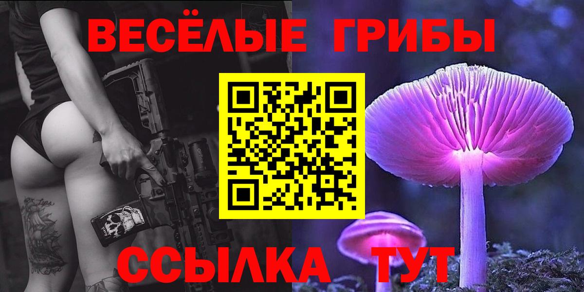 Псилоцибиновые грибы GOLDEN TEACHER Новочебоксарск