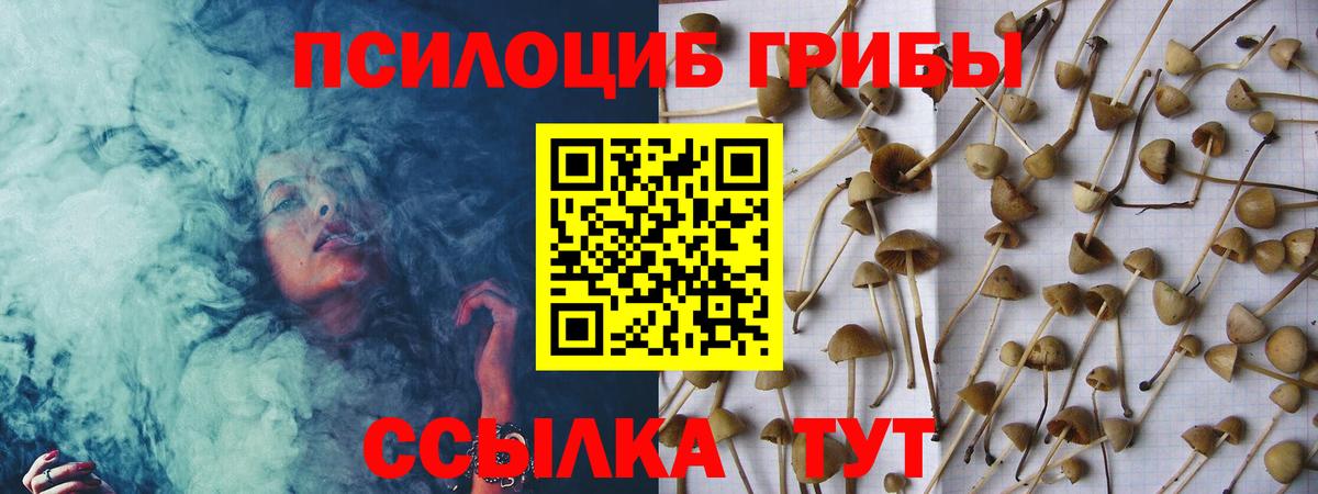 Галлюциногенные грибы GOLDEN TEACHER  Галлюциногенные грибы Magic Shrooms  Вход с VPN  Новочебоксарск 